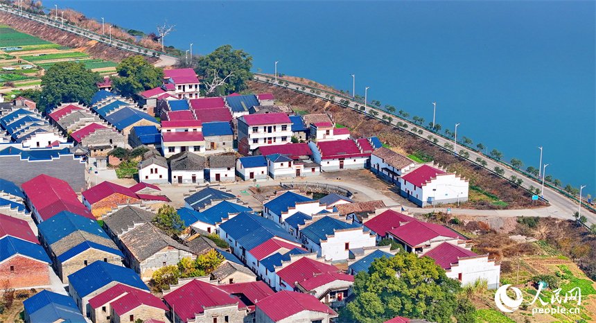 吉水縣金灘鎮贛江沿岸一帶，車輛往來穿梭，通村公路旁的農房鱗次櫛比，與綠樹、田壟、碧水相映成景。人民網 朱海鵬攝