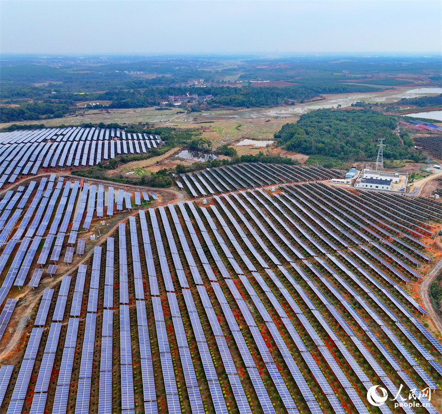 樟樹市劉公廟鎮橫塘村光伏基地，成片的光伏發電板依次排列。人民網 朱海鵬攝