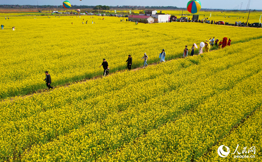市民游客在油菜花海中感受春日的絢爛與美好。人民網記者 毛思遠攝