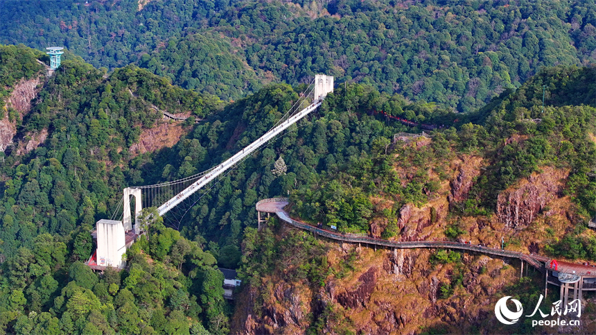 游客在贛州市安遠縣三百山景區游玩。人民網 朱海鵬攝