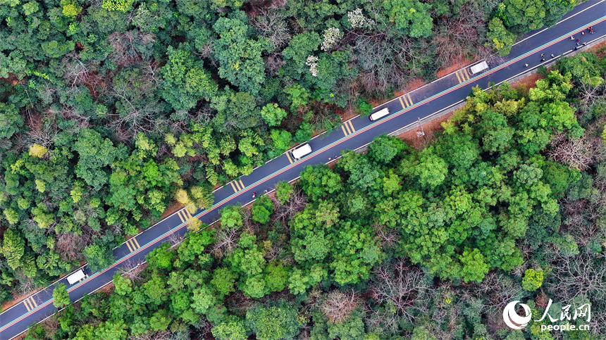贛州市安遠縣三百山景區，載著游客的旅游觀光車在綠樹青山中往來穿行。人民網 朱海鵬攝