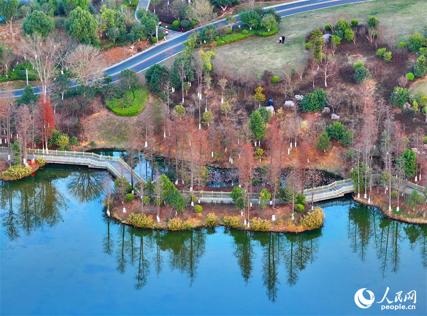 安遠縣書香公園，綠樹、碧水、游步道相映成景，成為市民休閑游玩的好去處。人民網 朱海鵬攝
