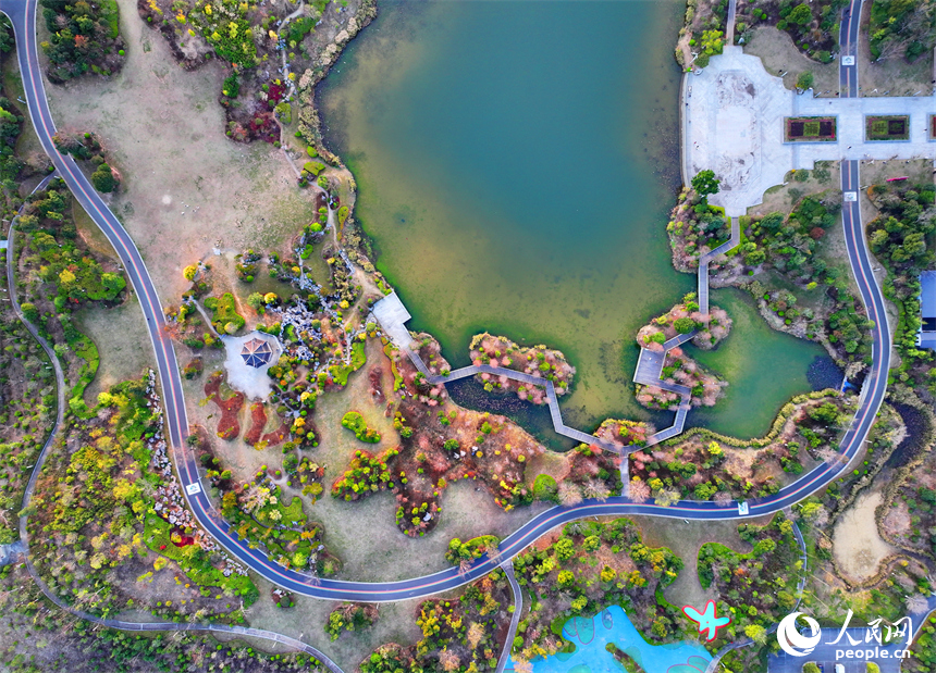 安遠縣書香公園，綠樹、碧水、游步道相映成景，成為市民休閑游玩的好去處。人民網 朱海鵬攝