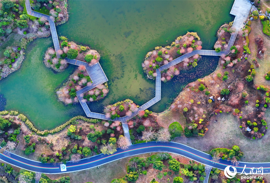 安遠縣書香公園，綠樹、碧水、游步道相映成景，成為市民休閑游玩的好去處。人民網 朱海鵬攝