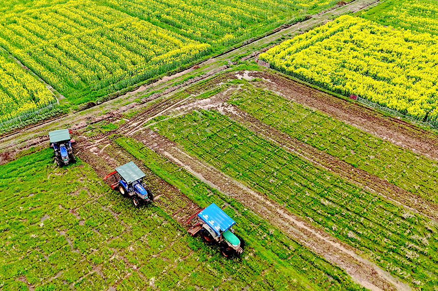 村民利用農機翻耕土地進行春種。姚雨婷攝