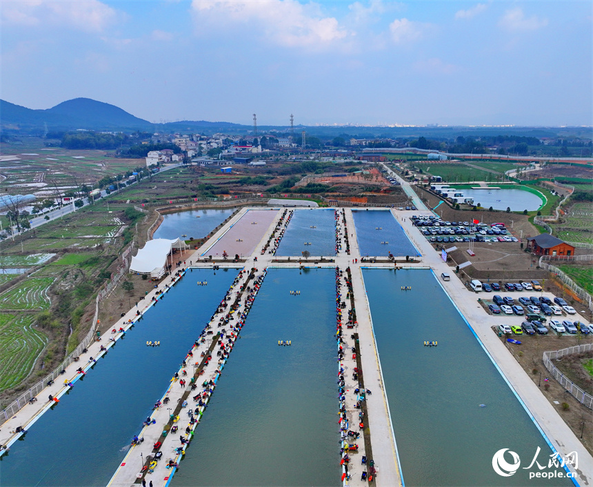 撫州市金溪縣瑯琚鎮楓山村的一處鄉村垂釣基地，垂釣愛好者在進行釣魚競技比賽。人民網 朱海鵬攝