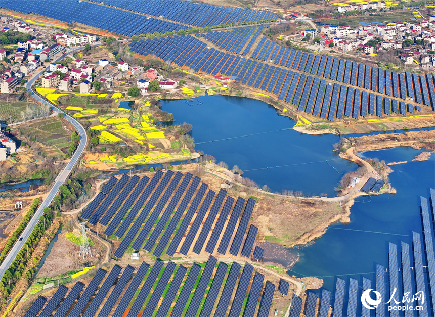 位于豐城市的國家能源集團豐城光伏發電項目泉塘光伏電站，連片的光伏發電板依次排列，熠熠生輝。人民網 朱海鵬攝