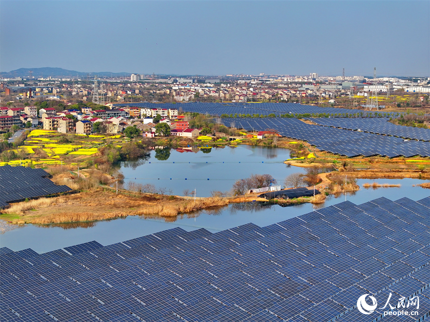 位于豐城市的國家能源集團豐城光伏發電項目泉塘光伏電站，連片的光伏發電板依次排列，熠熠生輝。人民網 朱海鵬攝