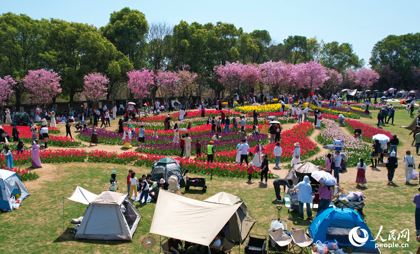 五彩斑斕的花海吸引了眾多市民游客前來拍照打卡,感受春天的氣息。人民網記者 毛思遠攝