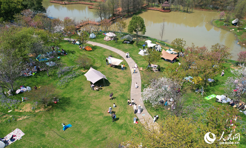 市民紛紛走出家門，投身于大自然的懷抱，感受著春天的氣息和美好。人民網記者 毛思遠攝