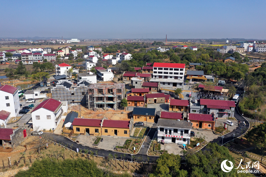 航拍鏡頭下的江西省南昌市紅谷灘流湖鎮魏家村的棕情小鎮。人民網記者 時雨攝
