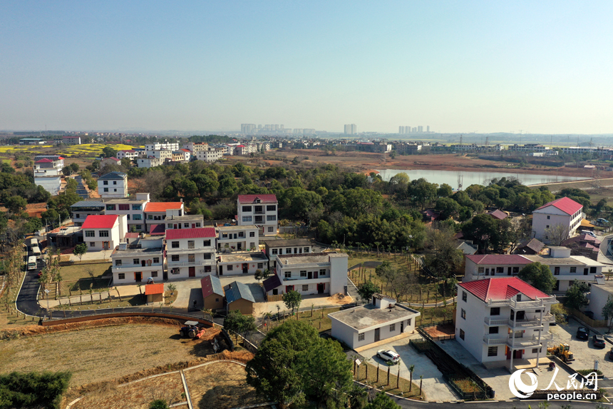 航拍鏡頭下的江西省南昌市紅谷灘流湖鎮魏家村的棕情小鎮。人民網記者 時雨攝