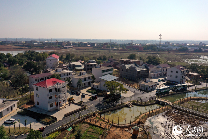 航拍鏡頭下的江西省南昌市紅谷灘流湖鎮魏家村的棕情小鎮。人民網記者 時雨攝