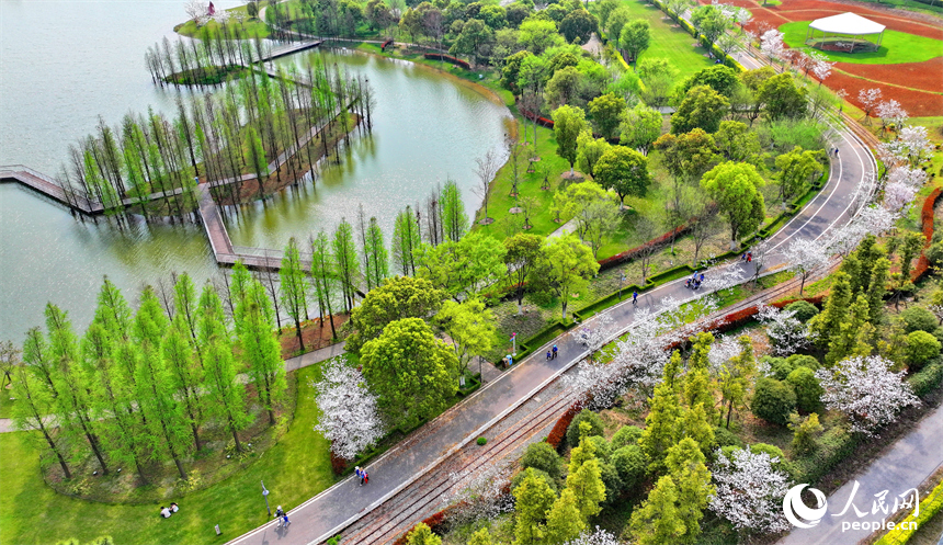 豐城市梅林鎮的一處花卉小鎮，許多游客漫步其中觀賞生態美景，樂享春日時光。人民網 朱海鵬攝