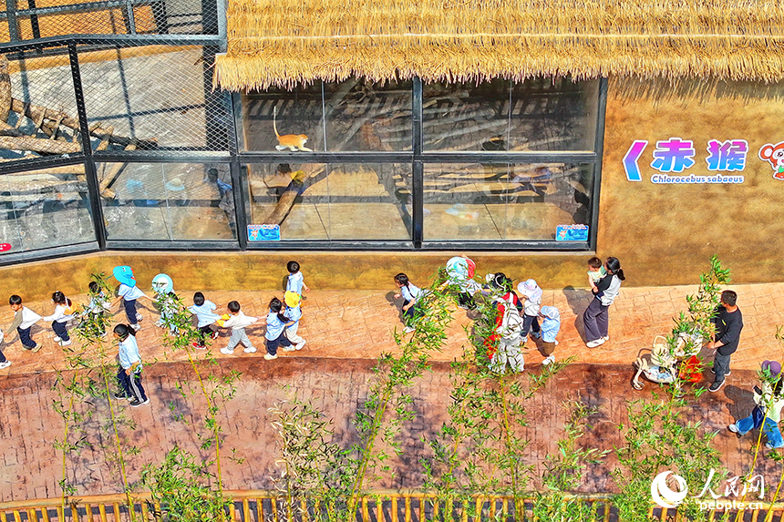 豐城市唯美動物園，許多游客前來觀賞游玩，盡享春日好時光。人民網 朱海鵬攝