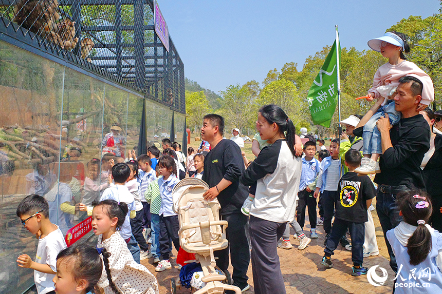 豐城市唯美動物園，許多游客前來觀賞游玩，盡享春日好時光。人民網 朱海鵬攝