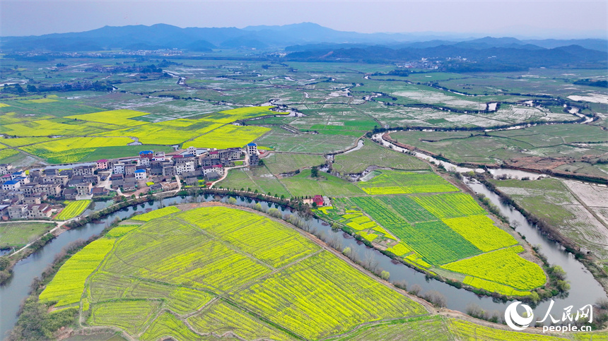 臨川區桐源鄉池溪村，廣袤的農田與彎彎河流相映成景，和美如畫。人民網 朱海鵬攝