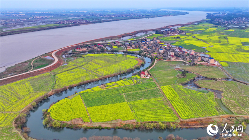 臨川區桐源鄉池溪村，廣袤的農田與彎彎河流相映成景，和美如畫。人民網 朱海鵬攝