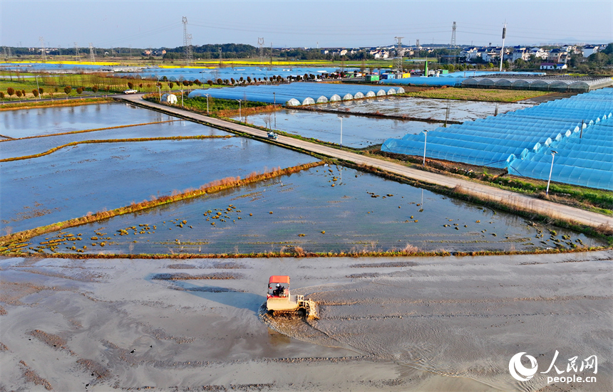 上饒市弋陽縣葛溪鄉繆家村，村民在翻耕高標準農田。人民網 朱海鵬攝
