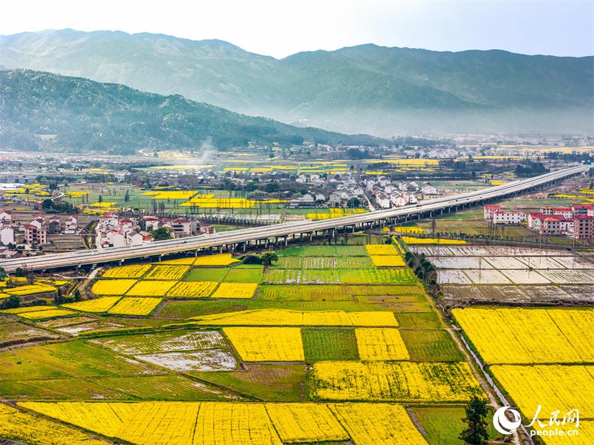 油菜花田與村莊、公路、群山構成一幅美麗畫卷。人民網 龍楚良攝