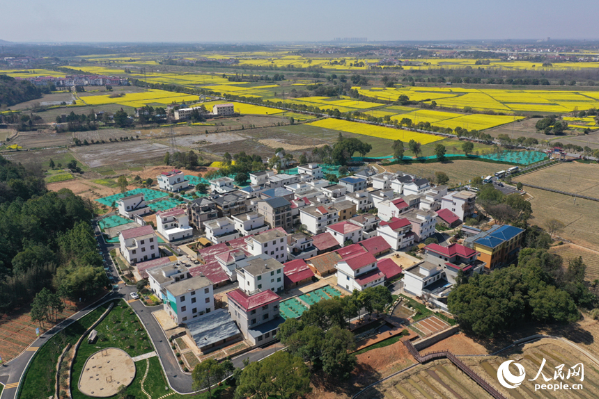 航拍鏡頭下的安義縣長埠鎮車田村，一幅秀美山村的景象展現在眼前。人民網記者 時雨攝