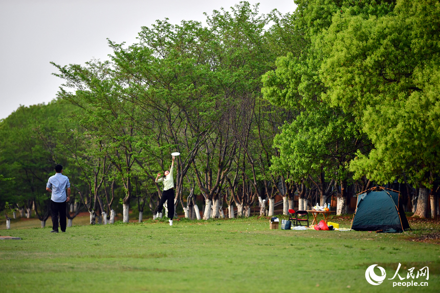江灘公園的草地上，市民在飛盤運動中奔跑跳躍。人民網記者 時雨攝