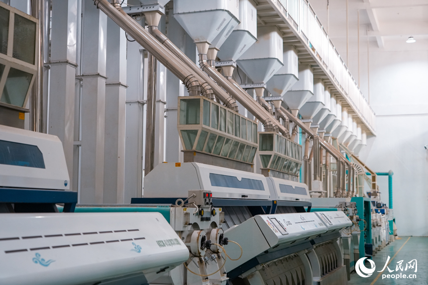 一排排色選機為品質提供了堅實保障。 人民網 涂詩軒攝