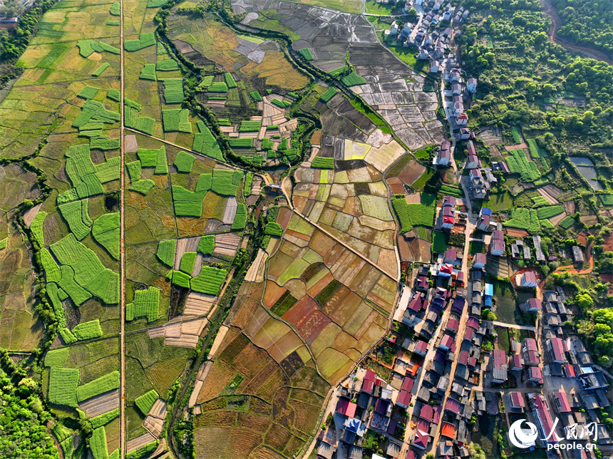 豐城市隍城鎮青山村一帶，灌溉打漿后的農田與蜿蜒灌渠、鄉村民宅、田間小路交織相襯，美不勝收。人民網 朱海鵬攝