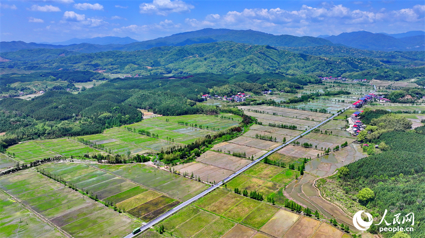 宜春市宜豐縣同安鄉明水村，連片的高標準農田與山巒、村莊、公路相映成景。人民網 朱海鵬攝