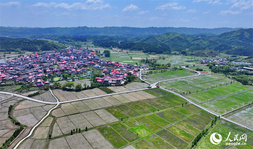 宜春市宜豐縣同安鄉明水村，連片的高標準農田與山巒、村莊、公路相映成景。人民網 朱海鵬攝