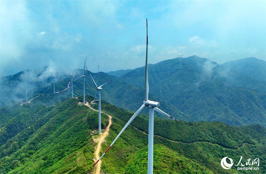 贛州市石城縣八卦腦景區，迎風旋轉的風力發電機與杜鵑花、云海、群山交相輝映。人民網 朱海鵬攝