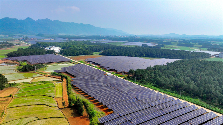 一排排光伏板在太陽的照耀下熠熠生輝。廖敏攝