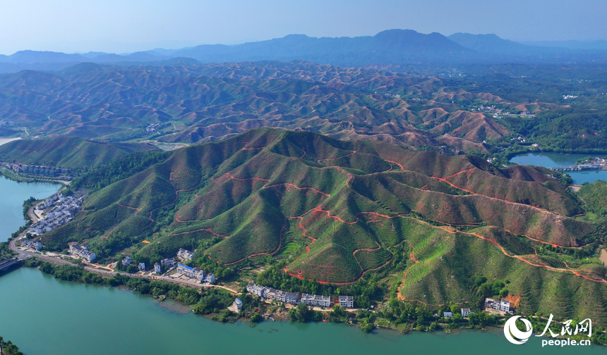 贛州市上猶縣東山鎮，車輛在環湖公路行駛，沿線水清岸綠景美春意濃。人民網 朱海鵬攝