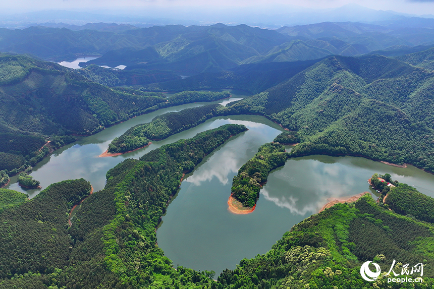 贛州市大余縣油羅口水庫周邊群山環抱，林木蔥郁。人民網 朱海鵬攝