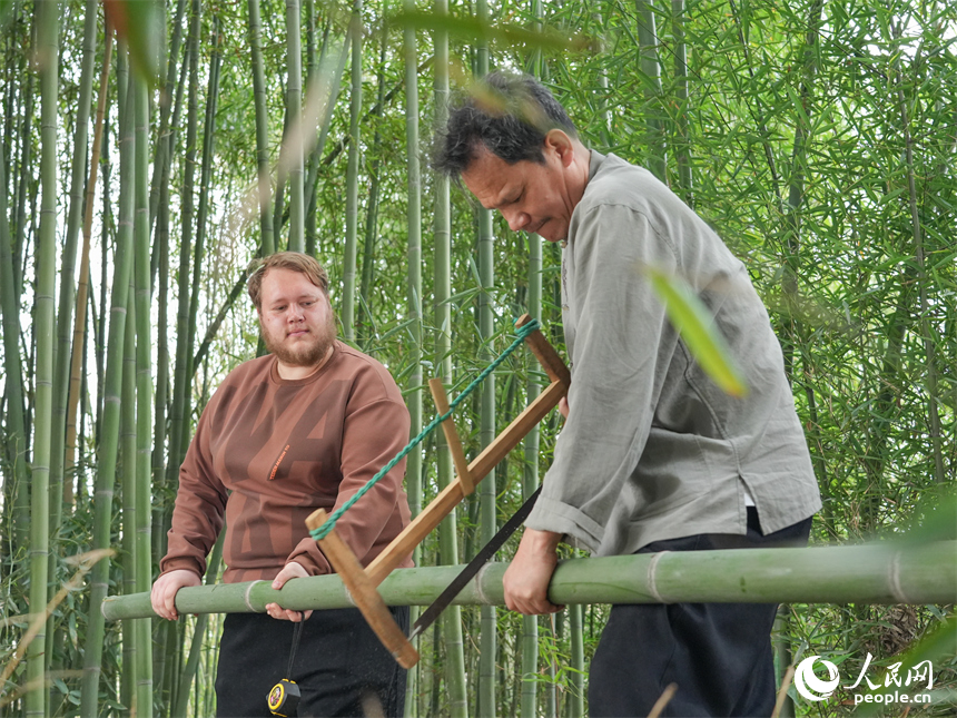 臨川篾編技藝省級代表性傳承人徐建元與留學生白熙華正在采集竹材。人民網 孔文進攝