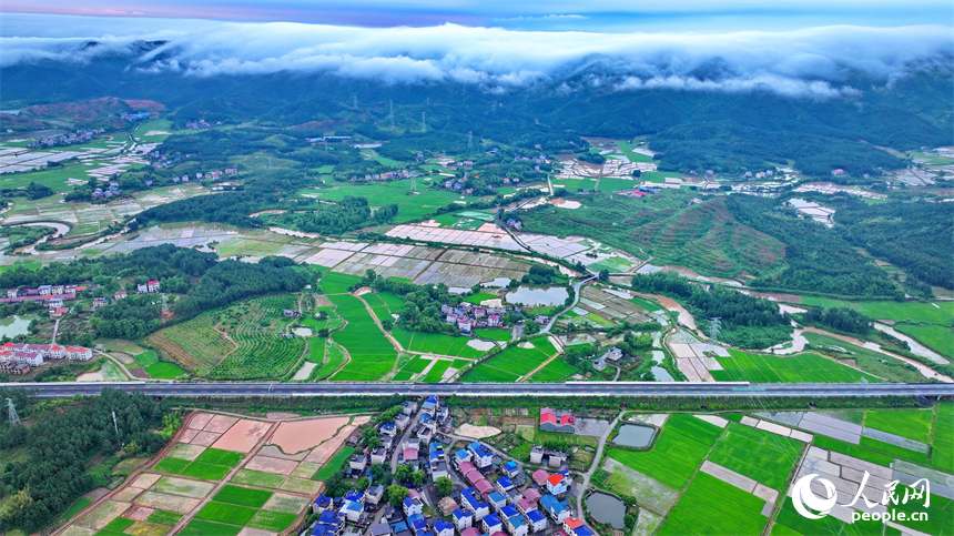 吉安市吉水縣文峰鎮葛山村，山巒起伏、水潤田疇、云霧繚繞，構成一幅初夏美麗鄉村田園圖景。人民網 朱海鵬攝