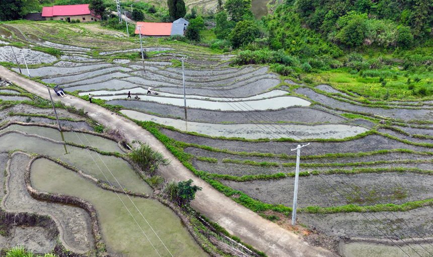 村民們在梯田耕作，忙碌的身影與層層疊疊的梯田交相輝映。鄧龍華攝