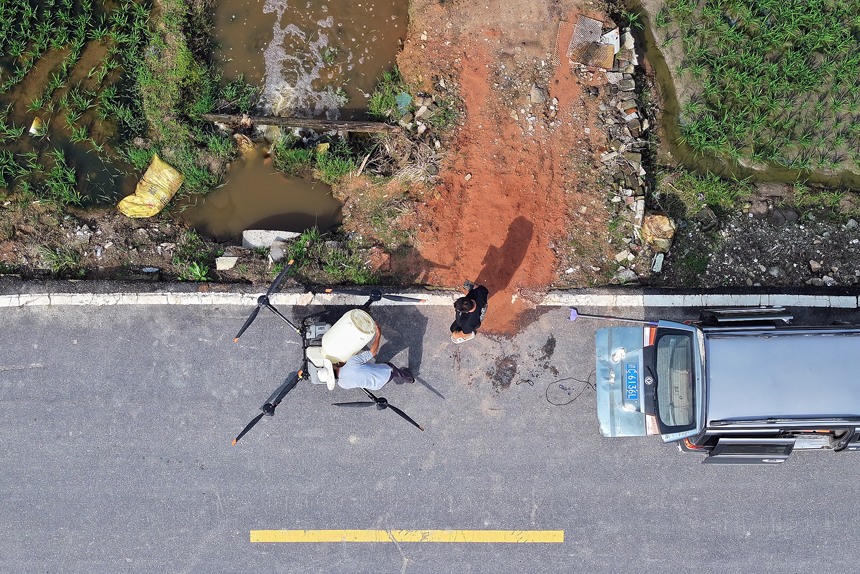 種田大戶李宏剛操作農用無人機給早稻禾苗噴藥施肥。何賤來攝