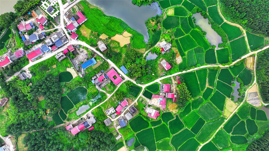 江西省吉安市吉水縣白沙鎮安坪村，田野、山巒、農舍相映成趣，勾勒出一幅美麗鄉村畫面。廖敏攝