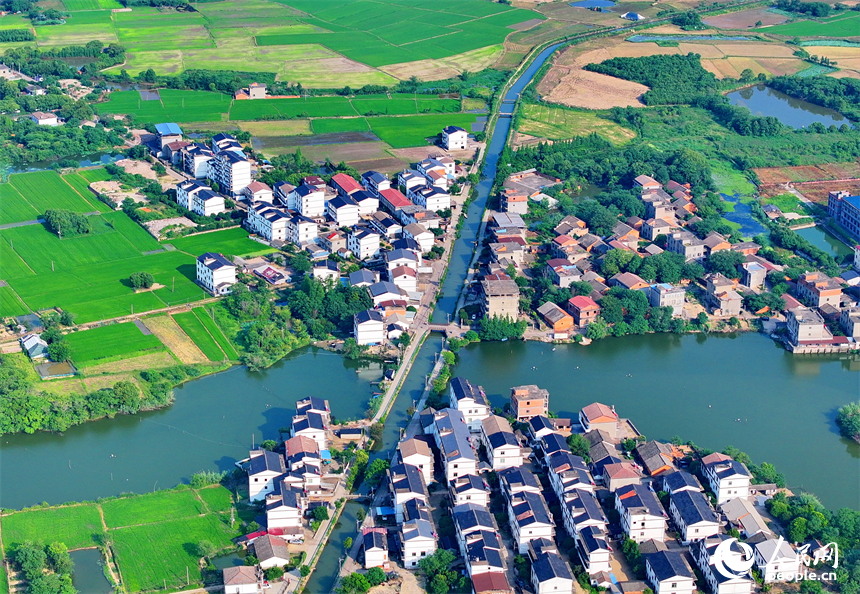 南昌市南昌縣富山鄉灘上村，田園碧水環繞、農房錯落有致，夏日鄉村美景怡人。人民網 朱海鵬攝