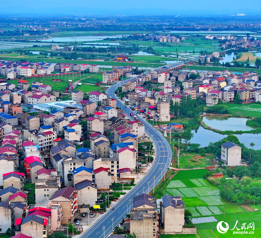 豐城市劍南街道荷塘村，車輛往來疾馳，鄉村公路與周邊連片的農田、房屋、養殖基地相映成景。人民網 朱海鵬攝