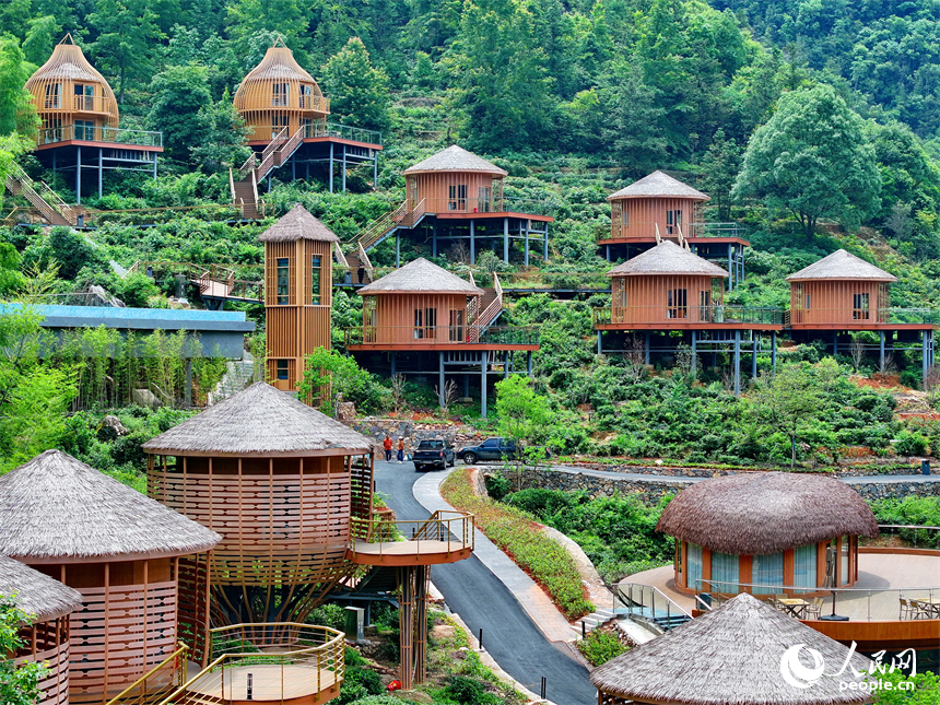 贛州市上猶縣梅水鄉園村村的一處露營基地，一棟棟民宿小木屋與青山、竹林、茶園相映襯。人民網 朱海鵬攝