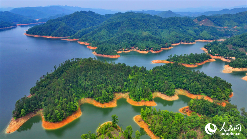 贛州市崇義縣陽明湖國家濕地公園內的贛南樹木園，林木蔥郁，水源充沛，風光旖旎。人民網 朱海鵬攝