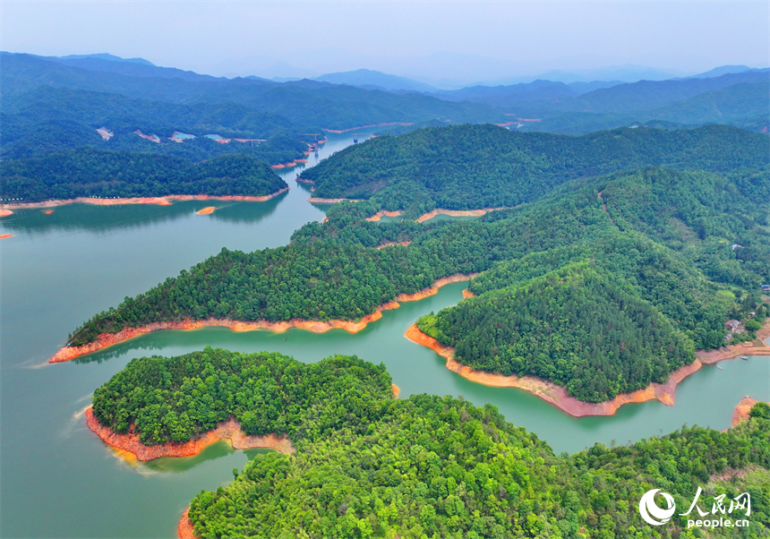 贛州市崇義縣陽明湖國家濕地公園內的贛南樹木園，林木蔥郁，水源充沛，風光旖旎。人民網 朱海鵬攝