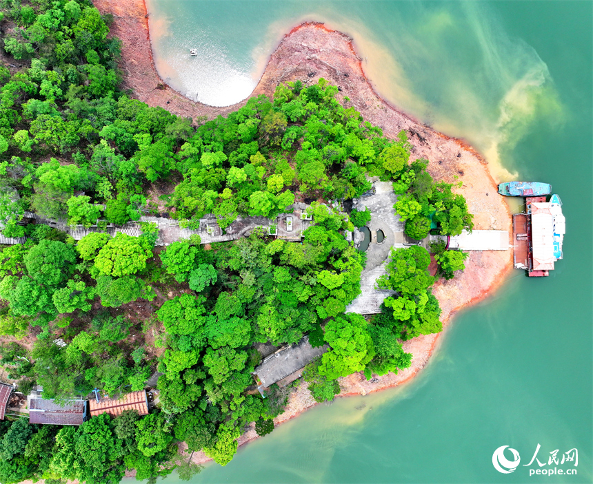 贛州市崇義縣陽明湖國家濕地公園內的贛南樹木園，林木蔥郁，水源充沛，風光旖旎。人民網 朱海鵬攝