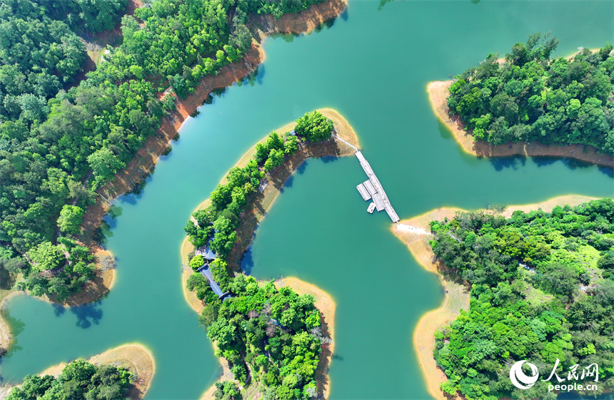 贛州市崇義縣陽明湖國家濕地公園內的贛南樹木園，林木蔥郁，水源充沛，風光旖旎。人民網 朱海鵬攝
