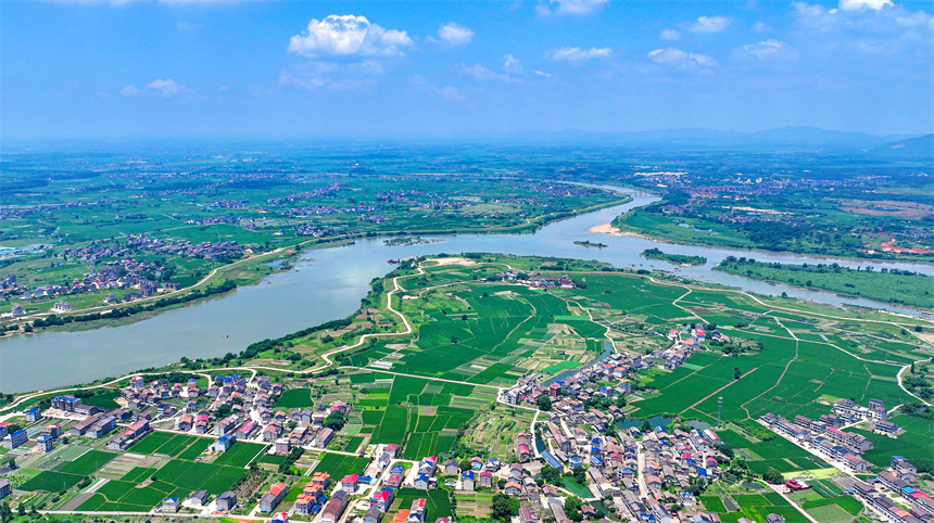 2025年6月4日，在江西省撫州市臨川區上頓渡鎮周家村，水量充沛的河流與農田、民居相映成趣。郭昊攝