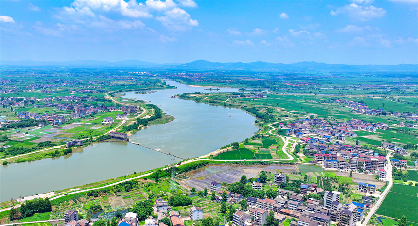 2025年6月4日，在江西省撫州市臨川區上頓渡鎮周家村，水量充沛的河流與農田、民居相映成趣。郭昊攝