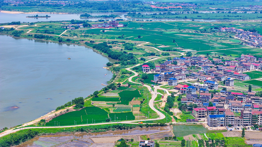 2025年6月4日，在江西省撫州市臨川區上頓渡鎮周家村，水量充沛的河流與農田、民居相映成趣。郭昊攝