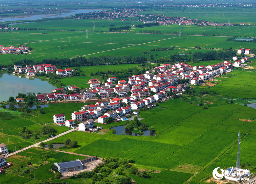 南昌縣涇口鄉，廣袤的田野與村落、公路、河流共同構成一幅美麗的鄉村畫卷。人民網記者 毛思遠攝